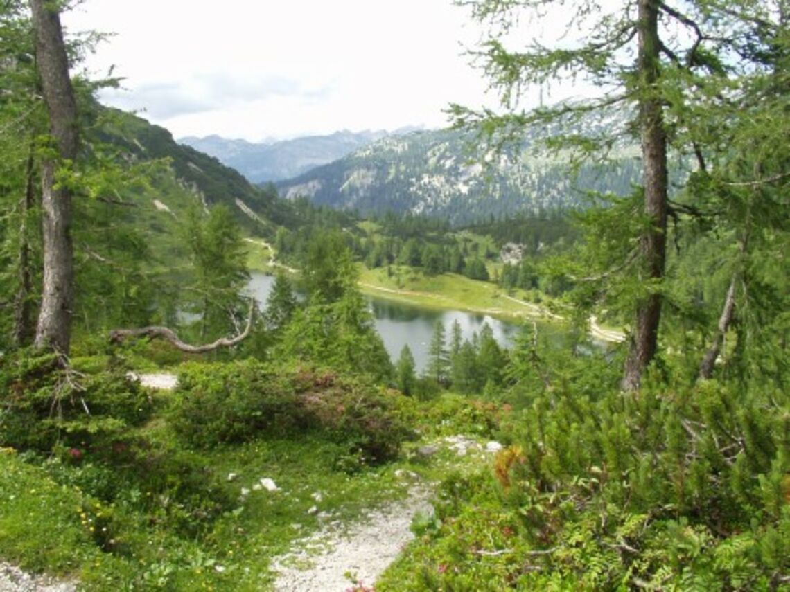 Tauplitzalm-Bergsee